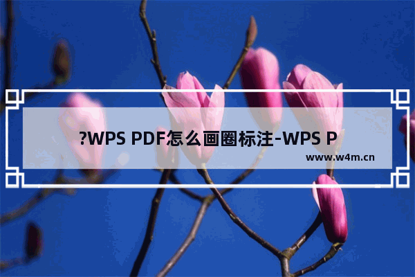 ?WPS PDF怎么画圈标注-WPS PDF电脑版中画圆圈标注内容的方法教程