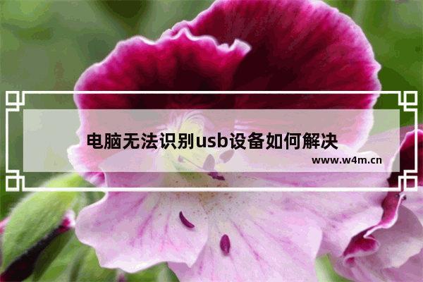 电脑无法识别usb设备如何解决