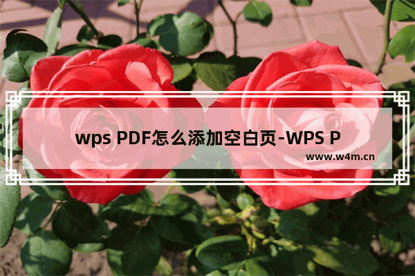 wps PDF怎么添加空白页-WPS PDF文档中插入空白页的方法