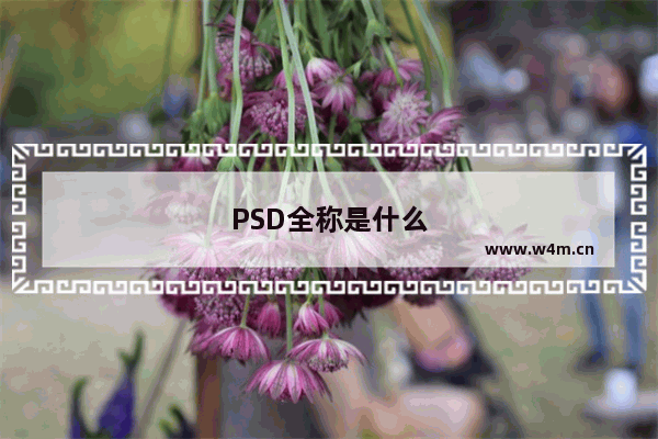 PSD全称是什么