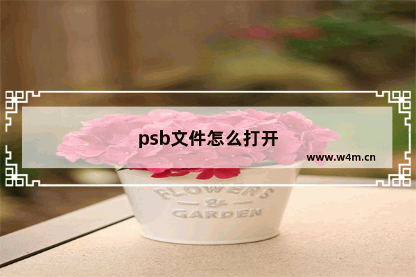 psb文件怎么打开