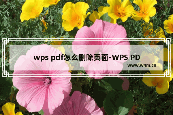 wps pdf怎么删除页面-WPS PDF批量删除不要的页面的方法