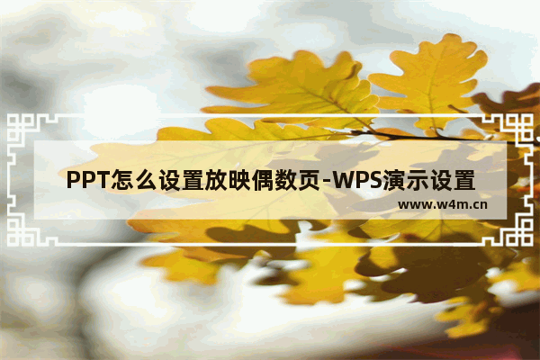 PPT怎么设置放映偶数页-WPS演示设置只放映偶数页的方法