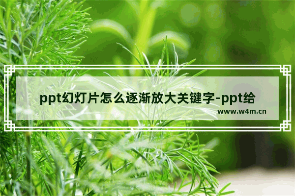 ppt幻灯片怎么逐渐放大关键字-ppt给文字添加逐渐放大效果的方法