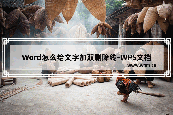 Word怎么给文字加双删除线-WPS文档中添加双删除线的方法