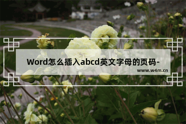 Word怎么插入abcd英文字母的页码-WPS文档中设置abcd英文字母页码的方法