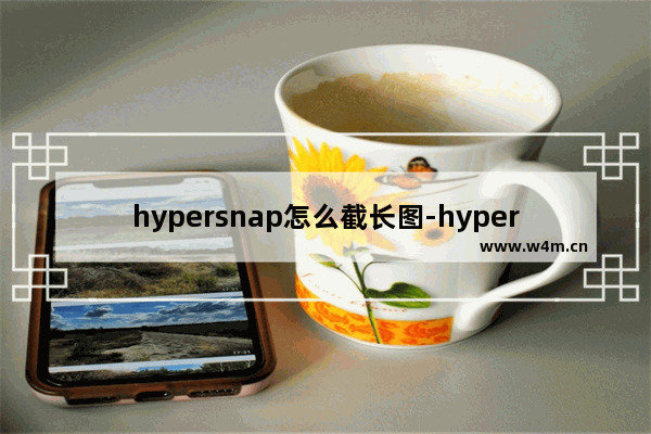 hypersnap怎么截长图-hypersnap进行滚动截图的方法