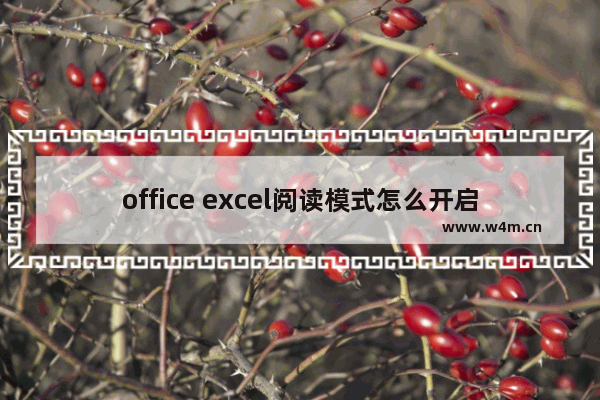 office excel阅读模式怎么开启