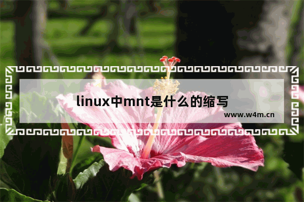 linux中mnt是什么的缩写