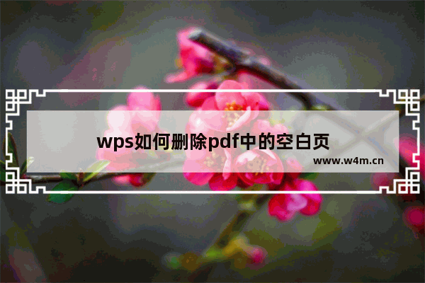 wps如何删除pdf中的空白页