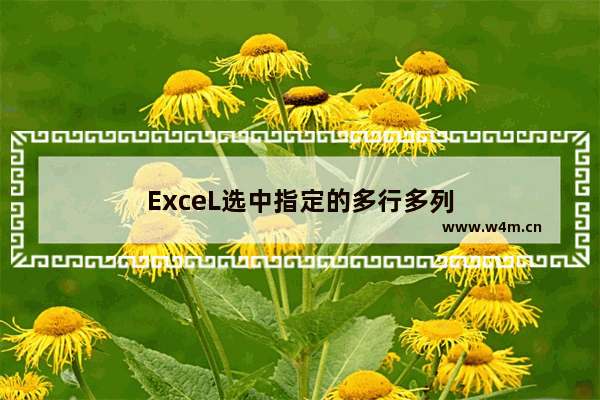 ExceL选中指定的多行多列