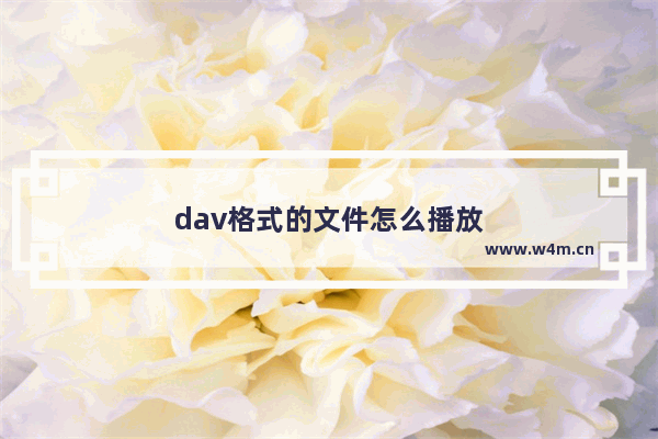 dav格式的文件怎么播放