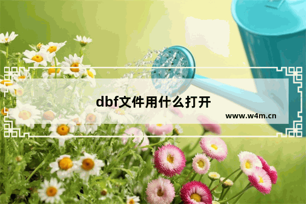 dbf文件用什么打开