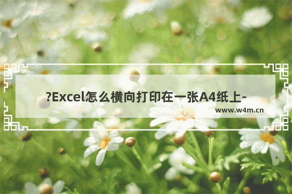 ?Excel怎么横向打印在一张A4纸上-Excel表格中设置横向打印在a4纸的方法教程