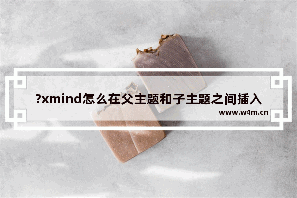 ?xmind怎么在父主题和子主题之间插入一级主题-?xmind在不同级别主题中间插入一级主题的方法