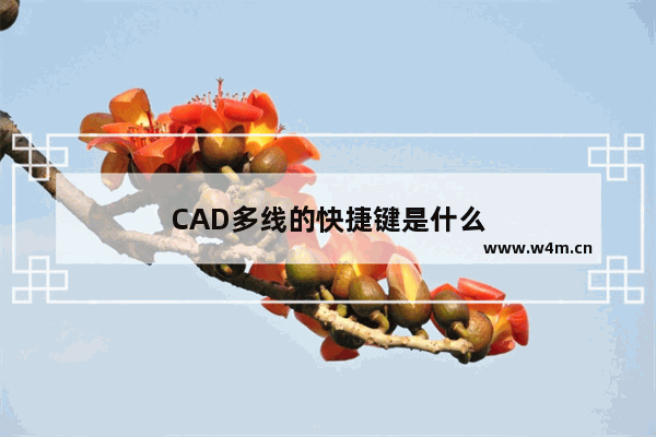 CAD多线的快捷键是什么