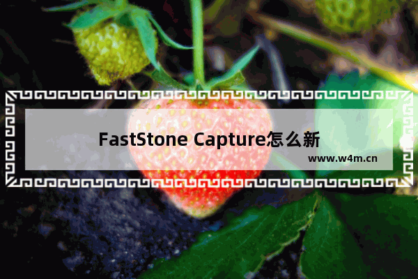 FastStone Capture怎么新建图像-faststone capture新建图像的方法