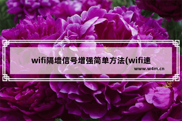 wifi隔墙信号增强简单方法(wifi速度慢在这设置高速和穿墙)