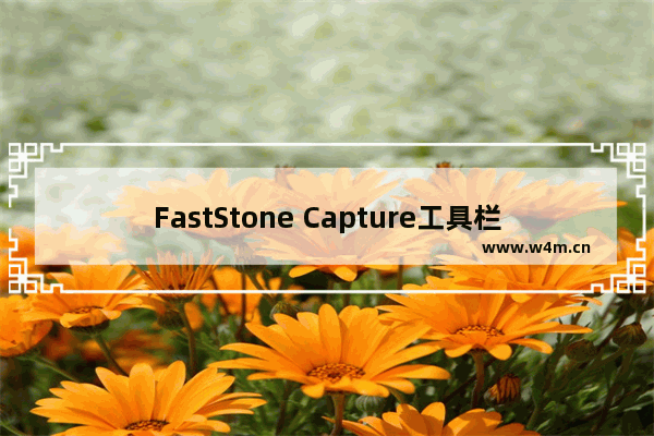 FastStone Capture工具栏按钮怎么调整-faststone capture设置工具栏图标的方法