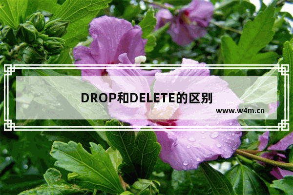 DROP和DELETE的区别