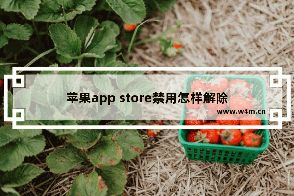 苹果app store禁用怎样解除