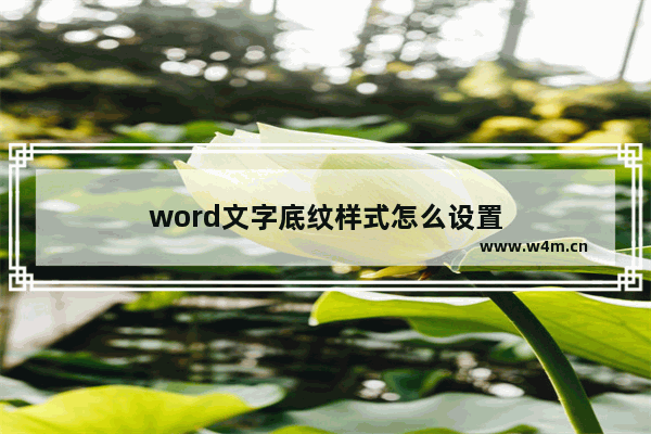 word文字底纹样式怎么设置