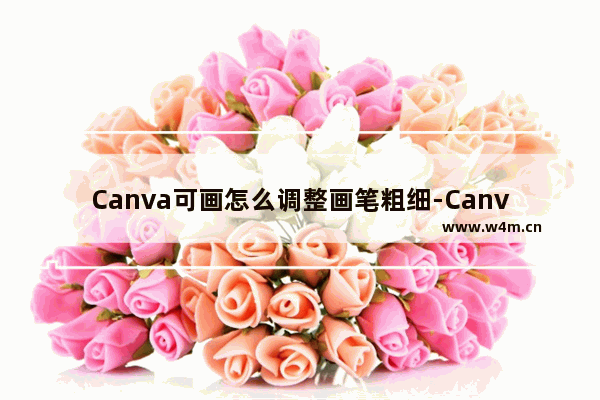 Canva可画怎么调整画笔粗细-Canva可画调整画笔粗细的方法