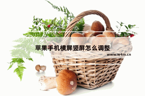 苹果手机横屏竖屏怎么调整