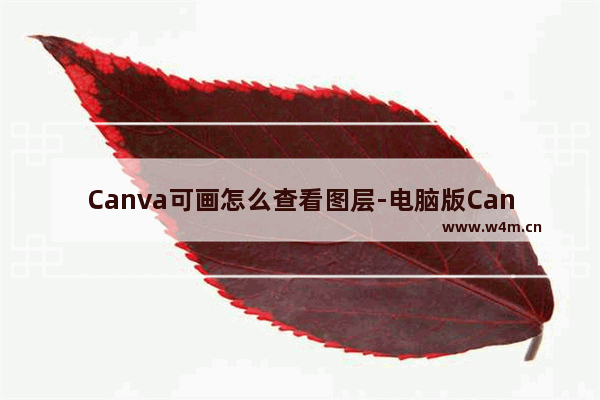 Canva可画怎么查看图层-电脑版Canva可画查看图层的方法