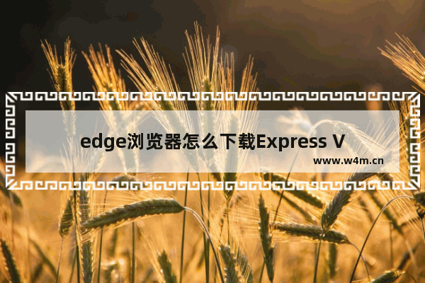 edge浏览器怎么下载Express VPN代理插件-edge浏览器安装Express VPN免费代理插件的方法