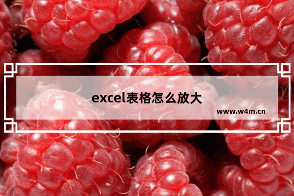 excel表格怎么放大