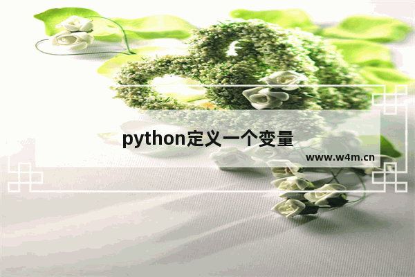 python定义一个变量