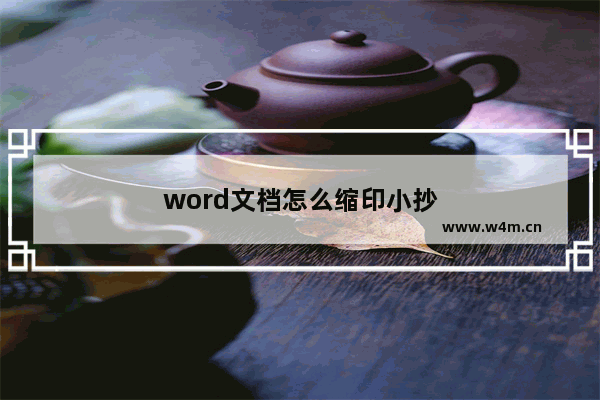 word文档怎么缩印小抄