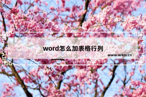 word怎么加表格行列