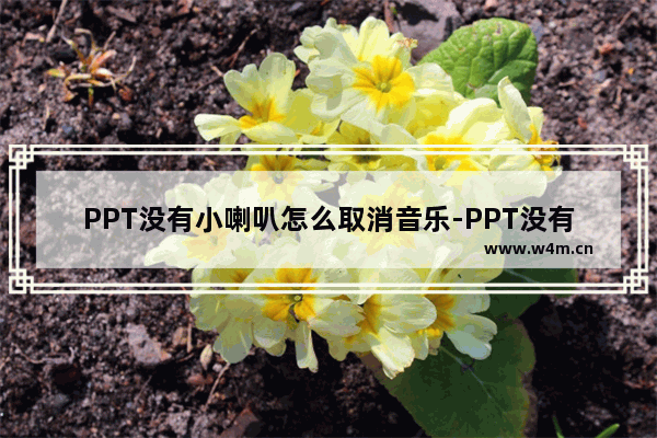 PPT没有小喇叭怎么取消音乐-PPT没有小喇叭取消音乐的方法