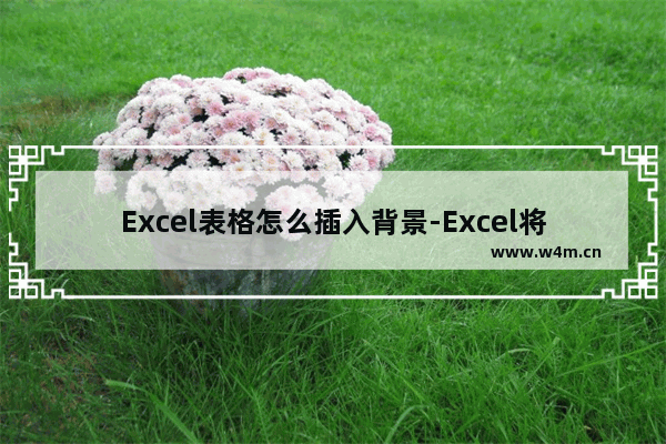 Excel表格怎么插入背景-Excel将图片设置为表格背景的方法