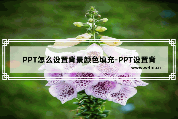 PPT怎么设置背景颜色填充-PPT设置背景颜色填充的方法