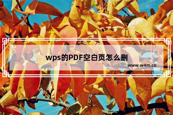 wps的PDF空白页怎么删