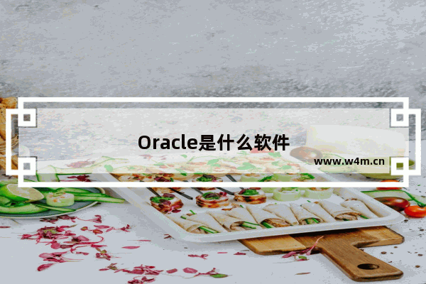 Oracle是什么软件