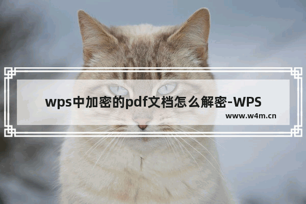 wps中加密的pdf文档怎么解密-WPS中对加密的PDF文档解除密码限制的方法