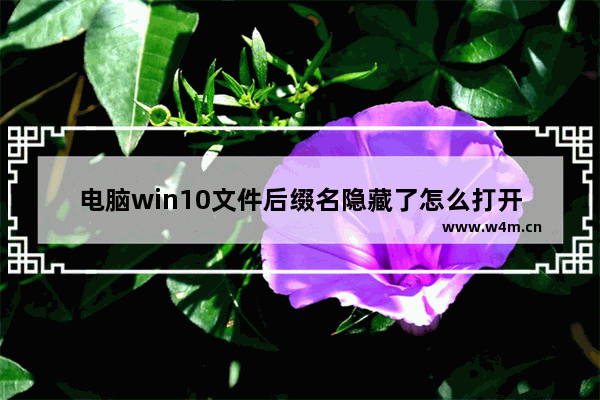 电脑win10文件后缀名隐藏了怎么打开