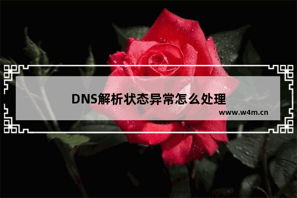 DNS解析状态异常怎么处理