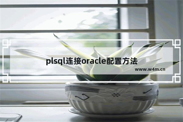 plsql连接oracle配置方法