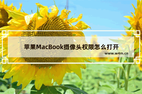 苹果MacBook摄像头权限怎么打开