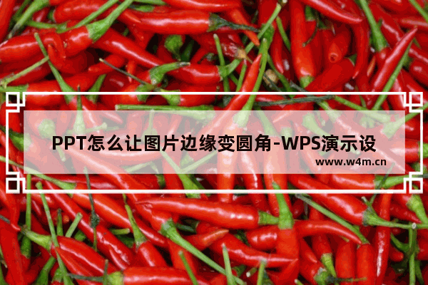 PPT怎么让图片边缘变圆角-WPS演示设置图片边角变成圆角的方法