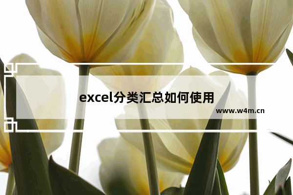 excel分类汇总如何使用