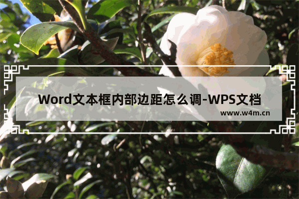 Word文本框内部边距怎么调-WPS文档中调整文本框内部边距的方法