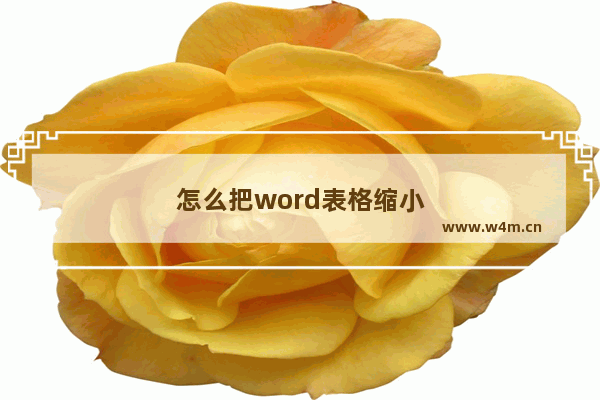 怎么把word表格缩小