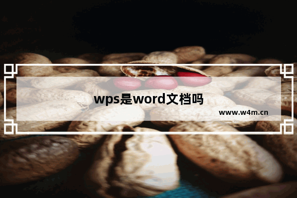 wps是word文档吗