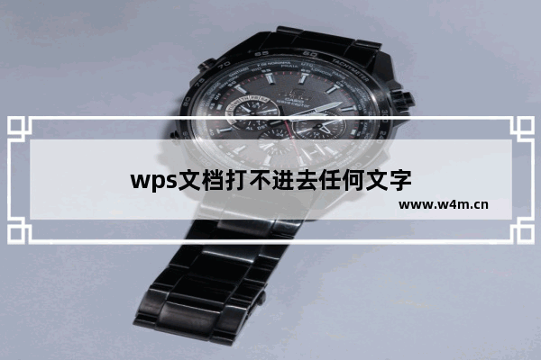 wps文档打不进去任何文字